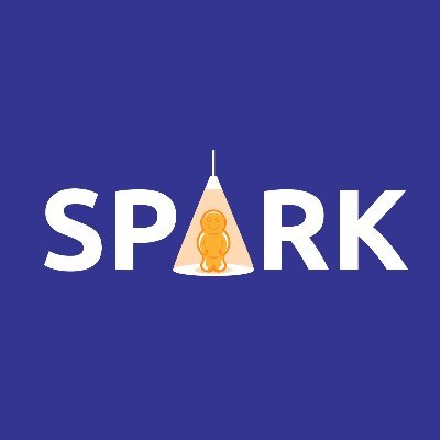 Spark Market Research