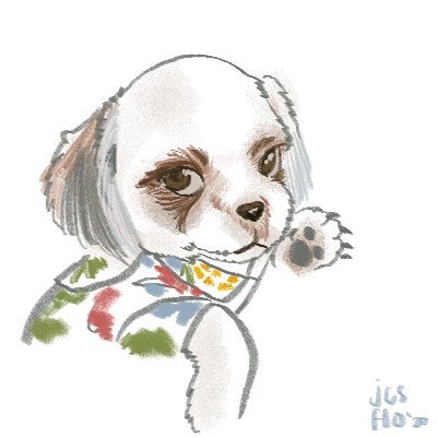 this.graciaさんのプロフィール画像
