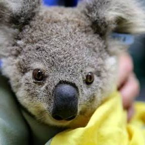 nel46664's profile picture. Tech enthusiasts, learner, web developer, Civil engineer.