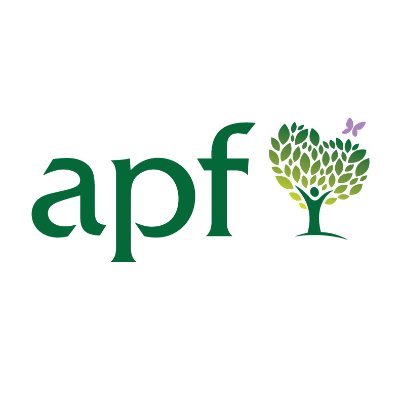 The Anna Phillips Foundation Profile