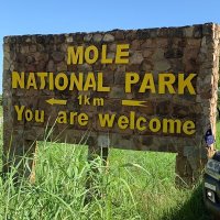 Mole National Park (@molepark) 's Twitter Profile