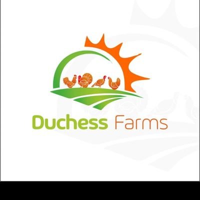Adding meaningful value to nutrition.  
📧duchessfarms17@gmail.com.
Send Message👉 https://t.co/dfQBtxi0E7