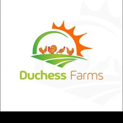 Adding meaningful value to nutrition.
📧duchessfarms17@gmail.com.
Send Message👉 https://t.co/dfQBtxi0E7