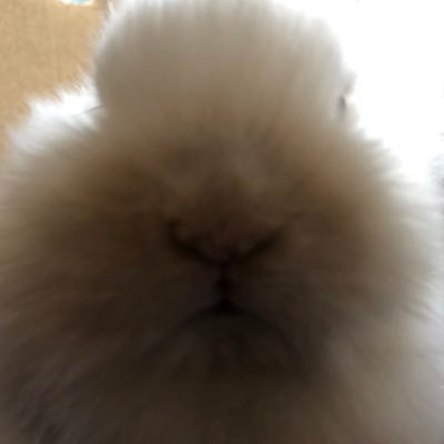 おソ🍜さんのプロフィール画像
