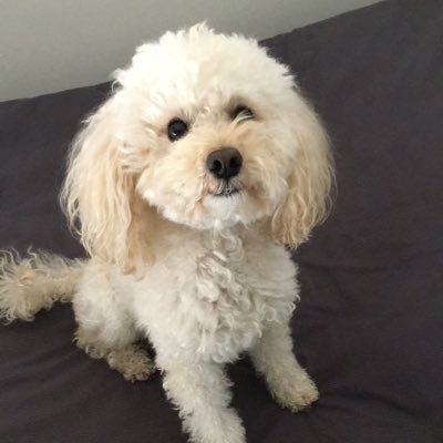 givememcdreamy's profile picture. ~The hardest part of being on a tv show is not falling in love with the co-star~ @Patrickdempsey italy | '97 | juve