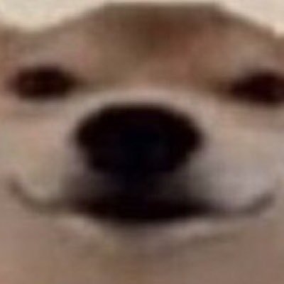 zesty_bois's profile picture. 