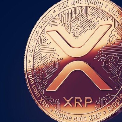 crypto_junky100's profile picture. Need Crypto to Moon ! $xrp $vet $csc $xdc