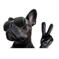 Lifes Manifesto (@lifesmanifesto) 's Twitter Profile Photo Lifes Manifesto (@lifesmanifesto) 's Twitter Profile Photo