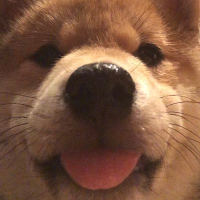B0MB20さんのプロフィール画像