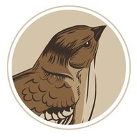 Downtown Sparrow (@downtownsparrow) 's Twitter Profile