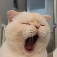 Mdemorados's profile picture. estamos para ser amigos no enemigos ♡