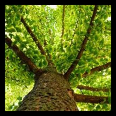 BoumF13's profile picture. 