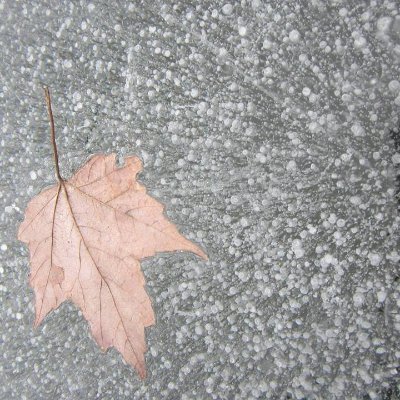 MarionBoddy's profile picture. 