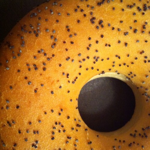 masa10sa10's profile picture. ニュージーランドで庭師やってます。Niwashi in New Zealand. exploring world with an open mind