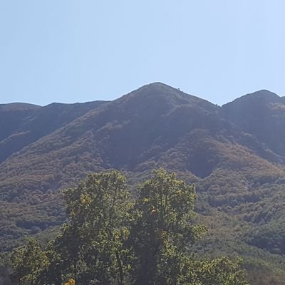 YoSoyACOS's profile picture. Protecció de la nostra aigua, seguretat viària i reclamació del soroll i la pudor.