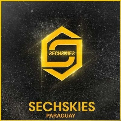 Primera y Única cuenta Oficial dedicada al grupo Sechskies en Paraguay