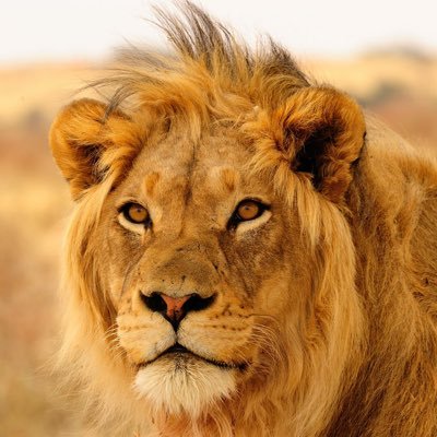 daily_motiv_'s profile picture. 