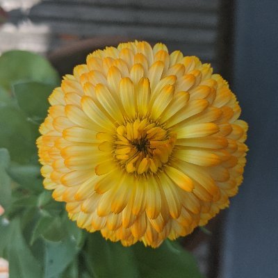 You'll find me in the garden.