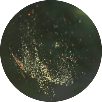 床のプロフィール写真