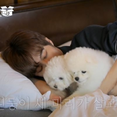 dog2_c1's profile picture. 김우석❤️따따❤️뽀뽀❤️루루