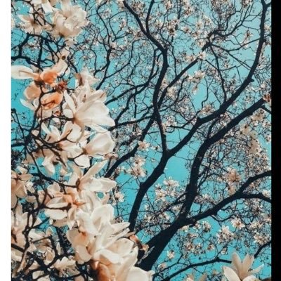 mharthei1's profile picture. 