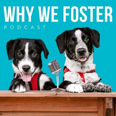 🐾 The first and only podcast about the pet fostering community!

⭐️ From @FosterDogsNYC and @NYCPetPhotog

#️⃣ #whywefoster 🤙 929-FOSTER-2