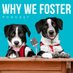 Why We Foster Podcast (@whywefoster) Twitter profile photo