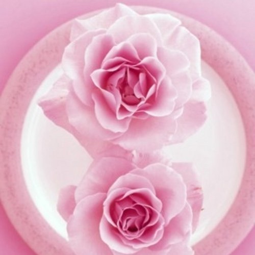 pinksun87654321's profile picture. 
