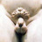 David_PENCIL's profile image