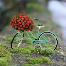 AgrawalEmisa's profile picture. student