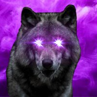 DEM0X (@dem0x4703) 's Twitter Profile