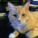 David Gino Sacco - @davidginosacco - Twitter