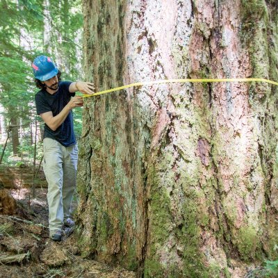 Assistant Professor of Biological Sciences at Marquette University. Forest ecology research at the H. J. Andrews LTER site in the Oregon Cascades.