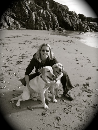 Writer / Artist (of the alcohol variety) / Dog owner & lover (of dogs)