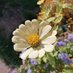 Dorset Carers Hub. Registered Charity 1200462 (@hubdorset) Twitter profile photo Dorset Carers Hub. Registered Charity 1200462 (@hubdorset) Twitter profile photo