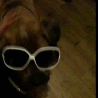 EmmyLouRainbow's profile picture. I love my boys, my husband, my dog, my allotment, my friends, my job but .... still need a glass of wine in the evening!