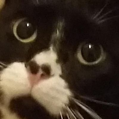 klein3003's profile picture. 