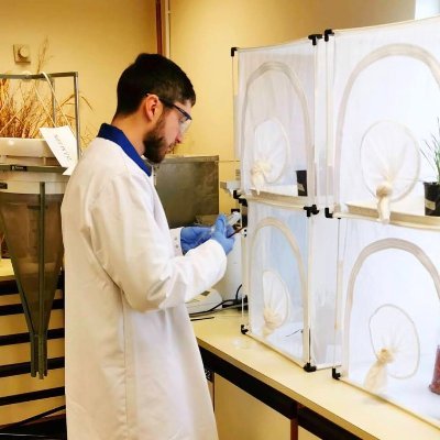 Entomologist and Lab Manager at Berry Gardens Growers 🍓