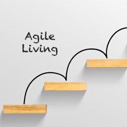 AgileLiving1's profile picture. Sharing the point of view of the Middle as both Right and Left go to extremes. 

Also an Arsenal fan.