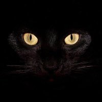 Mercola 🦋 (@neattweet5) 's Twitter Profile