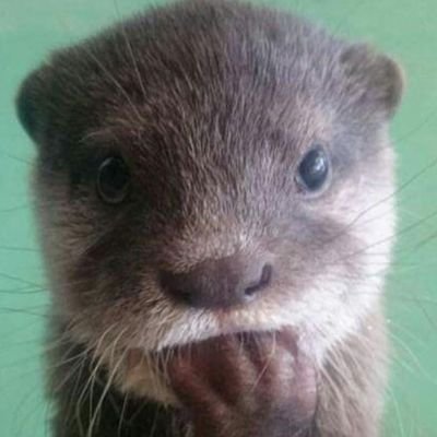 KaraleeAJ's profile picture. old account, don't do much with it. sorry!