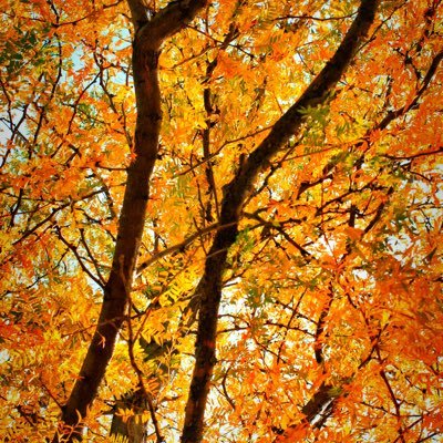 kuehner_matt's profile picture. 