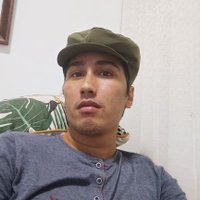 Emerson Silver (@silver_silver20) 's Twitter Profile