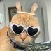 si, yo 😸 (@shomisma) Twitter profile photo si, yo 😸 (@shomisma) Twitter profile photo