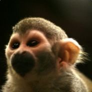 Frogonastring's profile picture. Photographer, techy, geek, husband and follower of Jesus. Currently undertaking a two-a-day taken-on-the-day photo habit called Project 730.