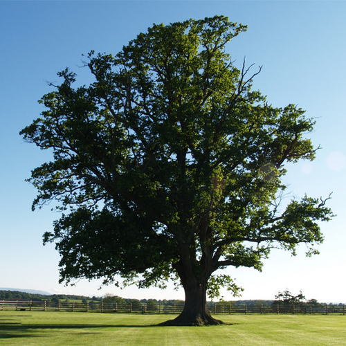 Home_Farm's profile picture. Dawn & Bernard welcome you to their tranquil, picturesque Caravan & Camping site, nestling in beautiful Herefordshire countryside.  Caravan Storage available.