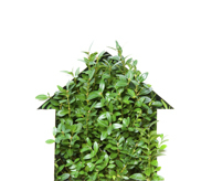 Greener Cleaners is the top green cleaning company in Nebraska /Omaha & Lincoln areas/ Certified green Shaklee brand products. Residential, commercial and auto.