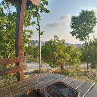 Berceste Asilzade (@insanebutcalm) Twitter profile photo