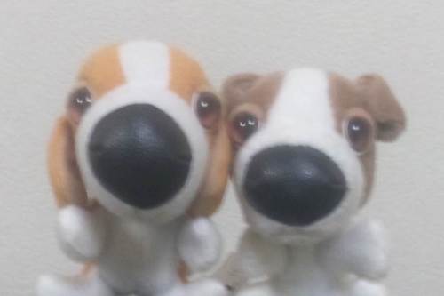 takupiyo708p's profile picture. 気付けば四十も越え、厄年ではないか・・・。　でも人生、らしく生きたいな！！