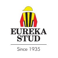 Eureka Stud (@eurekastud) 's Twitter Profile